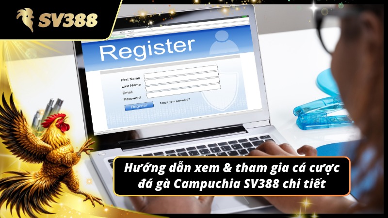 Hướng dẫn các quy trình cơ bản tại Đá Gà Campuchia SV388