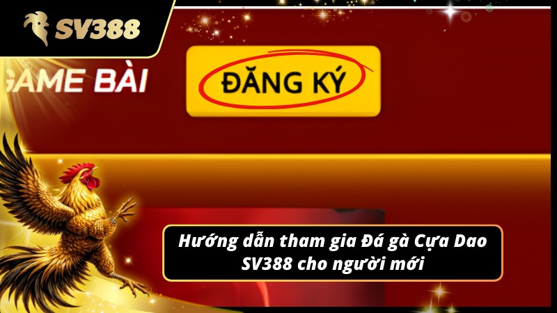 Hướng dẫn tham gia vào Đá gà Cựa Dao SV388
