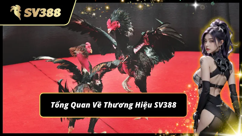 Giới thiệu toàn diện về thương hiệu cá cược SV388