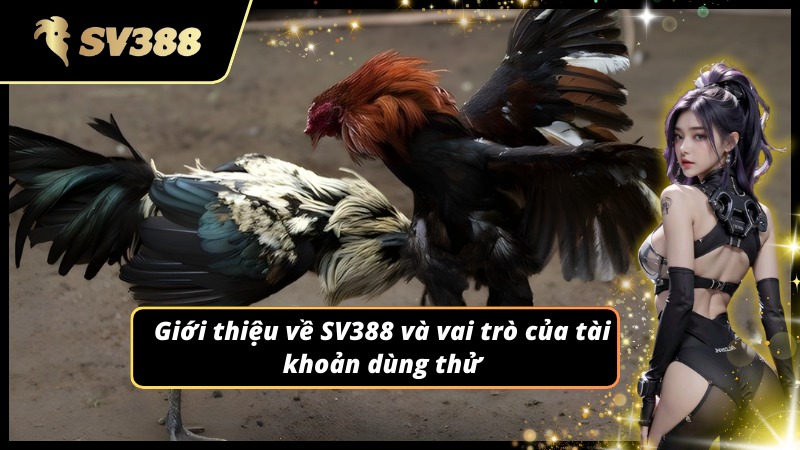 Giới thiệu về nơi cung cấp tài khoản dùng thử SV388