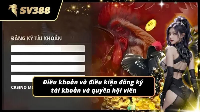 Điều khoản và điều kiện quy định về việc khởi tạo tài khoản